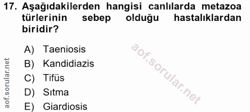 17. soru: Aşağıdakilerden hangisi canlılarda metazoa türlerinin sebep olduğu hastalıklardan biridir? A) Taeniosis B) Kandidiazi…