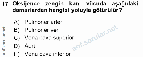 17. soru: Oksijence zengin kan, vücuda aşağıdaki damarlardan hangisi yoluyla götürülür? A) Pulmoner arter B) Pulmoner ven C) Ve…