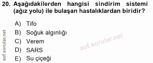 20. soru: Aşağıdakilerden hangisi sindirim sistemi (ağız yolu) ile bulaşan hastalıklardan biridir? A) Tifo B) Soğuk algınlığı C…