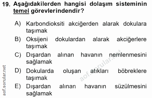 19. soru: Aşağıdakilerden hangisi dolaşım sisteminin temel görevlerindendir? A) Karbondioksiti akciğerden alarak dokulara taşım…