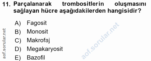 11. soru: Parçalanarak trombositlerin oluşmasını sağlayan hücre aşağıdakilerden hangisidir? A) Fagosit B) Monosit C) Makrofaj D…
