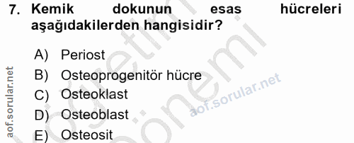7. soru: Kemik dokunun esas hücreleri aşağıdakilerden hangisidir? A) Periost B) Osteoprogenitör hücre C) Osteoklast D) Osteobl…