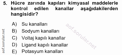 5. soru: Hücre zarında kapıları kimyasal maddelerle kontrol edilen kanallar aşağıdakilerden hangisidir? A) Su kanalları B) Sod…