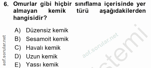 6. soru: Omurlar gibi hiçbir sınıflama içerisinde yer almayan kemik türü aşağıdakilerden hangisidir? A) Düzensiz kemik B) Sesa…