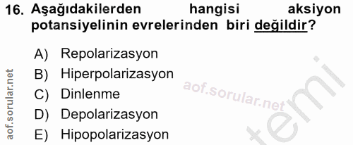16. soru: Aşağıdakilerden hangisi aksiyon potansiyelinin evrelerinden biri değildir? A) Repolarizasyon B) Hiperpolarizasyon aof…
