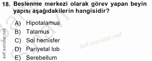18. soru: Beslenme merkezi olarak görev yapan beyin yapısı aşağıdakilerin hangisidir? A) Hipotalamus B) Talamus C) Sol hemisfer…