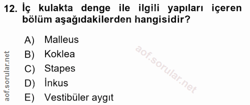 12. soru: Iç kulakta denge ile ilgili yapıları içeren bölüm aşağıdakilerden hangisidir? A) Malleus B) Koklea C) Stapes f. D) In…