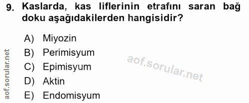 9. soru: Kaslarda, kas liflerinin etrafini saran bağ doku aşağıdakilerden hangisidir? A) Miyozin B) Perimisyum C) Epimisyum D)…