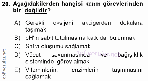 20. soru: Aşağıdakilerden hangisi kanın görevlerinden biri değildir? A) Gerekli oksijeni akciğerden dokulara taşımak B) pH'in s…