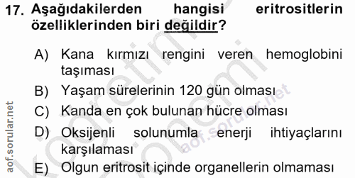 17. soru: Aşağıdakilerden hangisi eritrositlerin özelliklerinden biri değildir? A) Kana kırmızı rengini veren hemoglobini taşım…