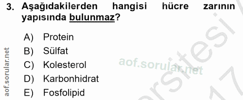 3. soru: Aşağıdakilerden hangisi hücre zarının yapısında bulunmaz? A) Protein B) Sülfat C) Kolesterol aof.sorulan net D) Karbo…
