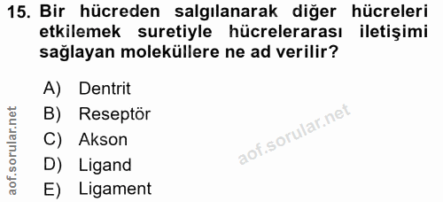 15. soru: Bir hücreden salgılanarak diğer hücreleri etkilemek suretiyle hücrelerarası iletişimi sağlayan moleküllere ne ad veri…
