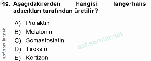 19. soru: Aşağıdakilerden hangisi langerhans adacıkları tarafından üretilir? A) Prolaktin B) Melatonin C) Somastostatin D) Tiro…