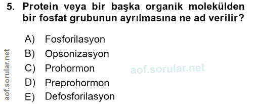 5. soru: Protein veya bir başka organik molekülden bir fosfat grubunun ayrılmasına ne ad verilir? A) Fosforilasyon B) Opsoniza…