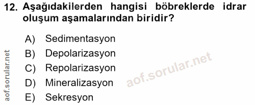 12. soru: Aşağıdakilerden hangisi böbreklerde idrar oluşum aşamalarından biridir? A) Sedimentasyon B) Depolarizasyon C) Repolar…