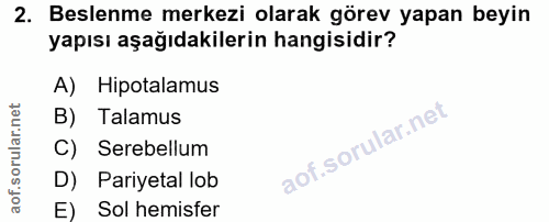 2. soru: Beslenme merkezi olarak görev yapan beyin yapısı aşağıdakilerin hangisidir? A) Hipotalamus B) Talamus C) Serebellum D…
