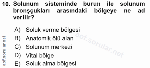 10. soru: Solunum sisteminde burun ile solunum bronşçukları arasındaki bölgeye ne ad verilir? A) Soluk verme bölgesi B) Anatomi…