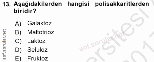 13. soru: Aşağıdakilerden hangisi polisakkaritlerden biridir? A) Galaktoz B) Maltotrioz Laktoz D) Seluloz E) Fruktoz