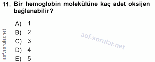 11. soru: Bir hemoglobin molekülüne kaç adet oksijen bağlanabilir? A) 1 B) 2 3 D) 4 E) 5