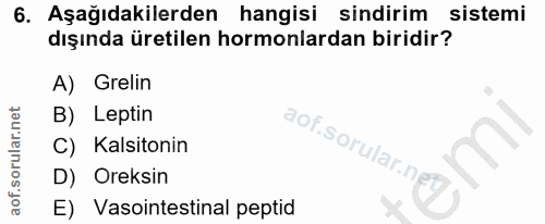 6. soru: Aşağıdakilerden hangisi sindirim sistemi dışında üretilen hormonlardan biridir? A) Grelin B) Leptin aof.sorular.ng C)…