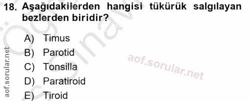 18. soru: Aşağıdakilerden hangisi tükürük salgılayan bezlerden biridir? A) Timus B) Parotid C) Tonsilla D) Paratiroid E Tiroid
