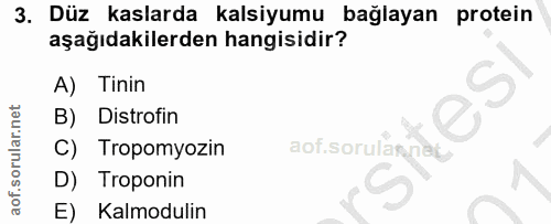 3. soru: Düz kaslarda kalsiyumu bağlayan protein aşağıdakilerden hangisidir? A) Tinin B) Distrofin C) Tropomyozin aof.sorulănn…