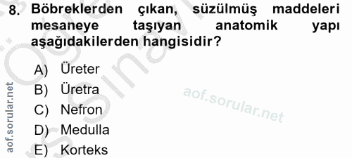 8. soru: Böbreklerden çıkan, süzülmüş :maddeleri mesaneye taşıyan anatomik yapı aşağıdakilerden hangisidir? A) Üreter B) Uretr…