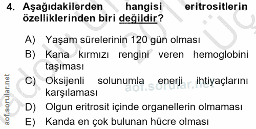 4. soru: Aşağıdakilerden hangisi eritrositlerin özelliklerinden biri değildir? A) Yaşam sürelerinin 120 gün olması B) Kana kır…