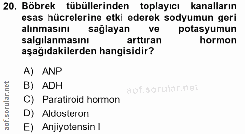 20. soru: Böbrek tübüllerinden toplayıcı kanalların esas hücrelerine etki ederek sodyumun geri alınmasını saglayan ve potasyumu…