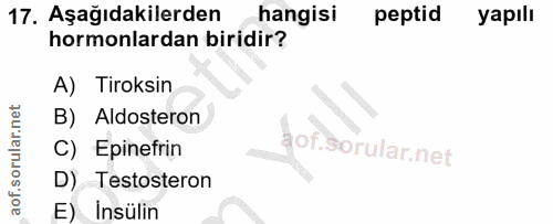 17. soru: Aşağıdakilerden hangisi peptid yapılı hormonlardan biridir? A) Tiroksin B) Aldosteron C) Epinefrin D) Testosteron E)…
