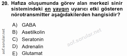 20. soru: Hafıza oluşumunda görev alan merkezi sinir sistemindeki en yaygın uyarıcı etki gösteren nörotransmitter aşağıdakilerd…