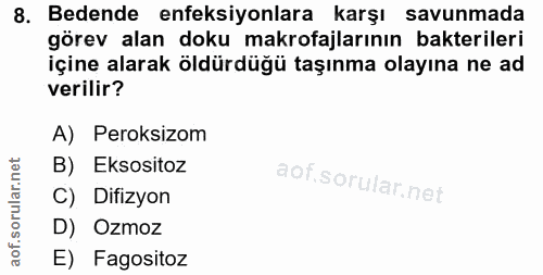 8. soru: Bedende enfeksiyonlara karşı savunmada görev alan doku makrofajlarının bakterileri içine alarak öldürdüğü taşınma ola…