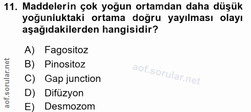 11. soru: Maddelerin çok yoğun ortamdan daha düşük yoğunluktaki ortama doğru yayılması olayı aşağıdakilerden hangisidir? A) Fag…