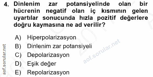 4. soru: Dinlenim zar potansiyelinde olan bir hücrenin negatif olan iç kısmının gelen uyartılar sonucunda hızla pozitif değerl…