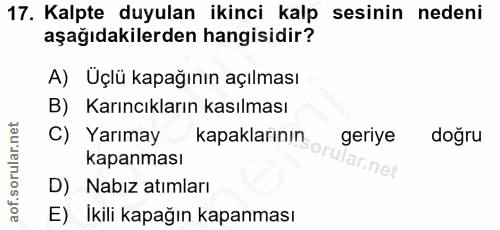 17. soru: Kalpte duyulan ikinci kalp sesinin nedeni aşağıdakilerden hangisidir? A) Uçlü kapağının açılması B) Karıncıkların kas…