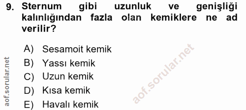 9. soru: Sternum gibi uzunluk ve genişliği kalınlığından fazla olan kemiklere ne ad verilir? A) Sesamoit kemik B) Yassı kemik…