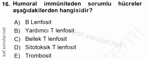 16. soru: Humoral immüniteden sorumlu hücreler aşağıdakilerden hangisidir? A) B Lenfosit B) Yardımcı T lenfosit C) Bellek T len…