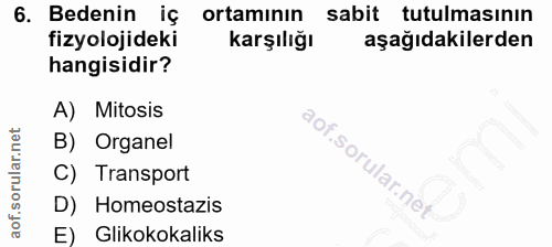 6. soru: Bedenin iç ortamının sabit tutulmasının fizyolojideki karşılığı aşağıdakilerden hangisidir? A) Mitosis B) Organel C)…