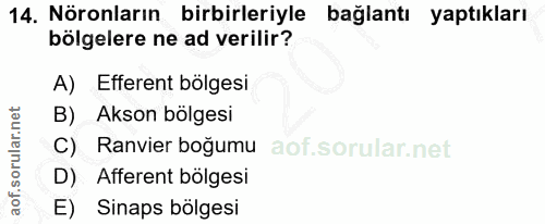 14. soru: Nöronların birbirleriyle bağlantı yaptıkları bölgelere ne ad verilir? A) Efferent bölgesi B) Akson bölgesi C) Ranvier…