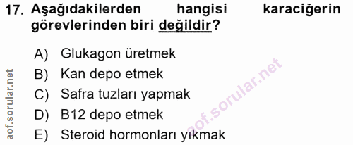 17. soru: Aşağıdakilerden hangisi karaciğerin görevlerinden biri değildir? A) Glukagon üretmek B) Kan depo etmek C) Safra tuzla…