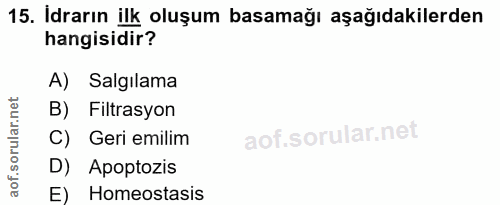 15. soru: İdrarın ilk oluşum basamağı aşağıdakilerden hangisidir? A) Salgılama B) Filtrasyon ar C) Geri emilim orul D) Apoptozi…