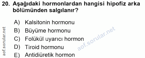 20. soru: Aşağıdaki hormonlardan hangisi hipofiz arka bölümünden salgılanır? A) Kalsitonin hormonu B) Büyüme hormonu C) Folükül…