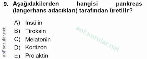 9. soru: Aşağıdakilerden hangisi pankreas (langerhans adacıkları) tarafından üretilir? A) Insülin B) Tiroksin C) Melatonin D)…