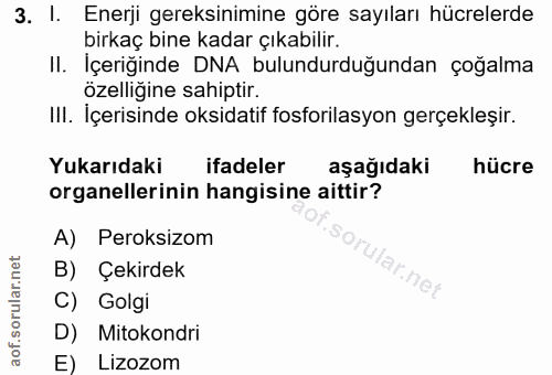 3. soru: I. Enerji gereksinimine göre sayıları hücrelerde birkaç bine kadar çıkabilir. II. İçeriğinde DNA bulundurduğundan çoğ…