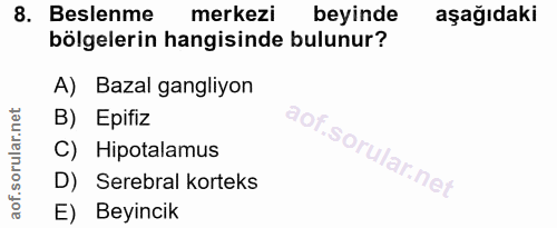 8. soru: Beslenme merkezi beyinde aşağıdaki bölgelerin hangisinde bulunur? A) Bazal gangliyon B) Epifiz C) Hipotalamus D) Sere…