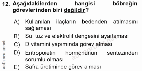 12. soru: Aşağıdakilerden hangisi böbreğin görevlerinden biri değildir? A) Kullanılan ilaçların bedenden atılmasını sağlaması B…