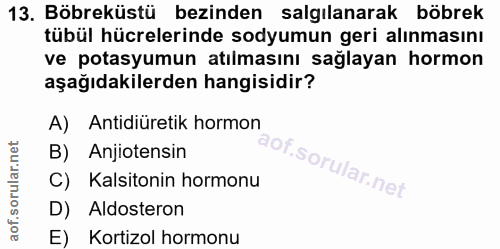 13. soru: Böbreküstü bezinden salgılanarak böbrek tübül hücrelerinde sodyumun geri alınmasını ve potasyumun atılmasını sağlayan…