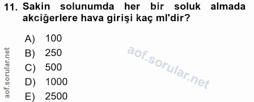 11. soru: Sakin solunumda her bir soluk almada akciğerlere hava girişi kaç ml'dir? A) 100 B) 250 C) 500 D) 1000 E) 2500