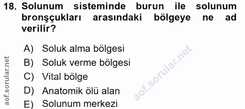 18. soru: Solunum sisteminde burun ile solunum bronşçukları arasındaki bölgeye ne ad verilir? A) Soluk alma bölgesi B) Soluk ve…