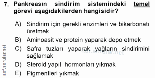 7. soru: Pankreasın sindirim sistemindeki temel görevi aşağıdakilerden hangisidir? A) Sindirim için gerekli enzimleri ve bikar…